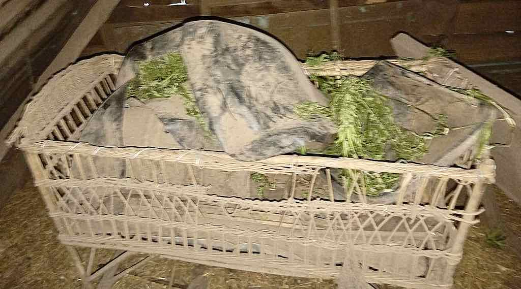 В Брянской области задержан мужчина за хранение конопли