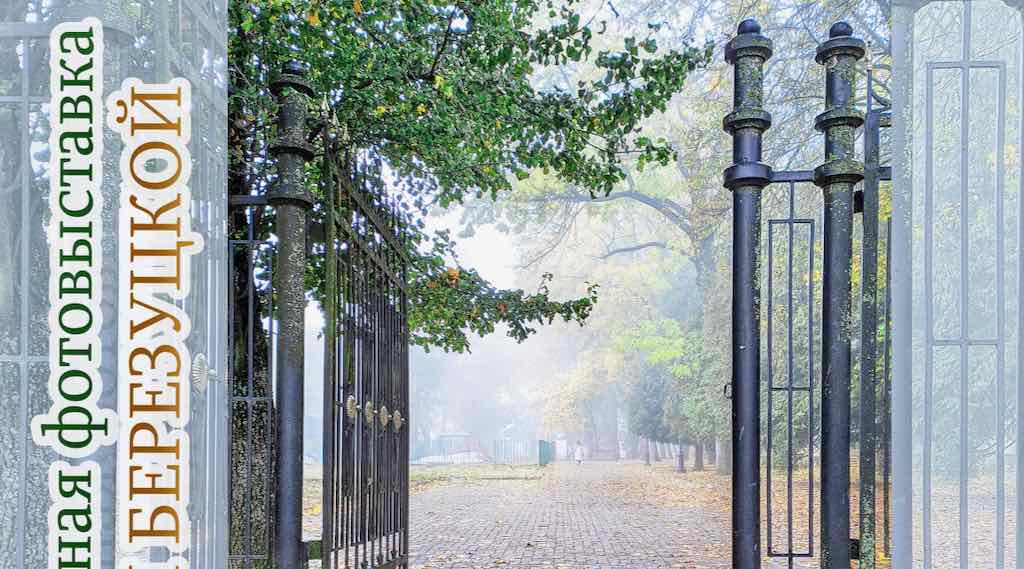 В Брянске откроется фотовыставка «За туманом»