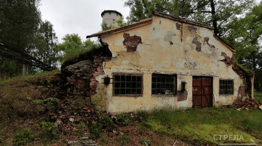 Брянцы помнят подвиг участников Великой Отечественной войны