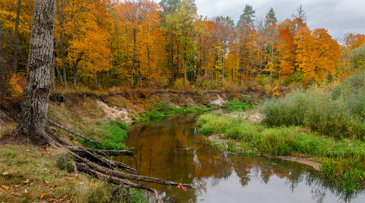 В прокуратуре Брянской области обсудили вопросы экологии