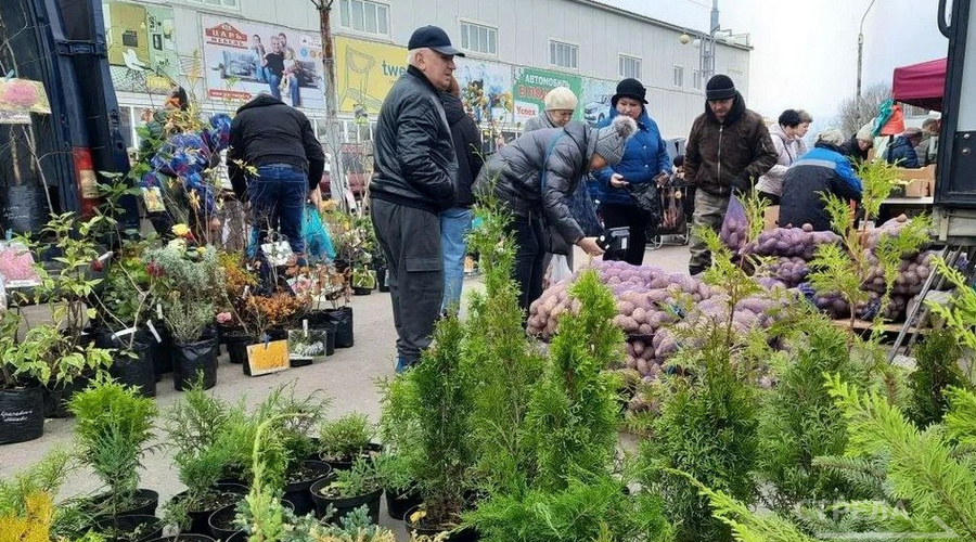 Жители Брянска активно пополняют запасы на ярмарках выходного дня
