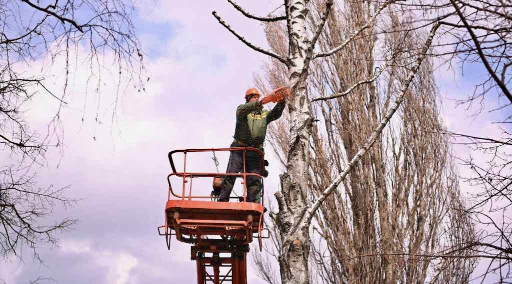Жители поселка Май Стародубского округа благодарят аграриев за благоустройство