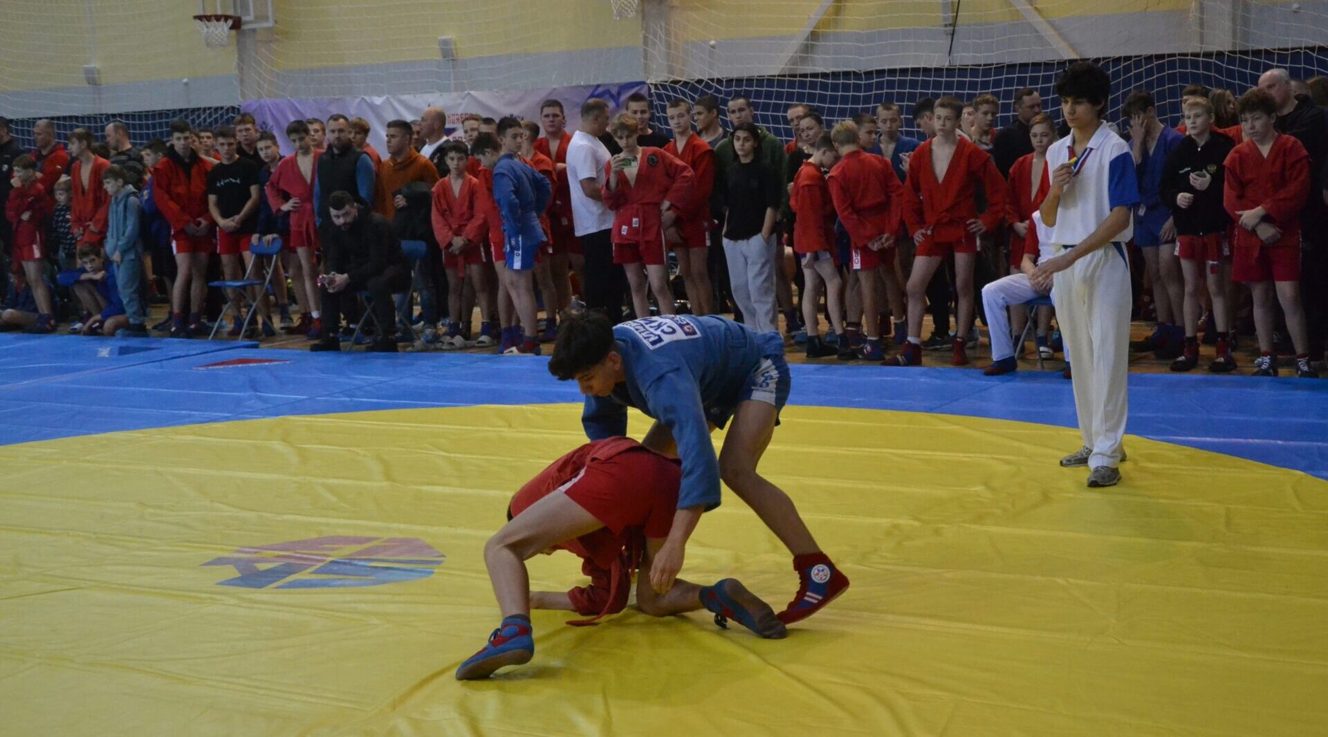 В Брянске состоялись посвященные Всероссийскому Дню самбо соревнования