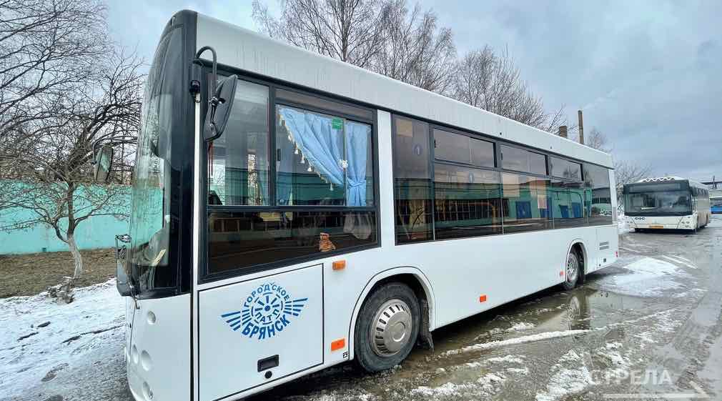 Скидка 7 рублей на проезд в Брянске действует до нового года