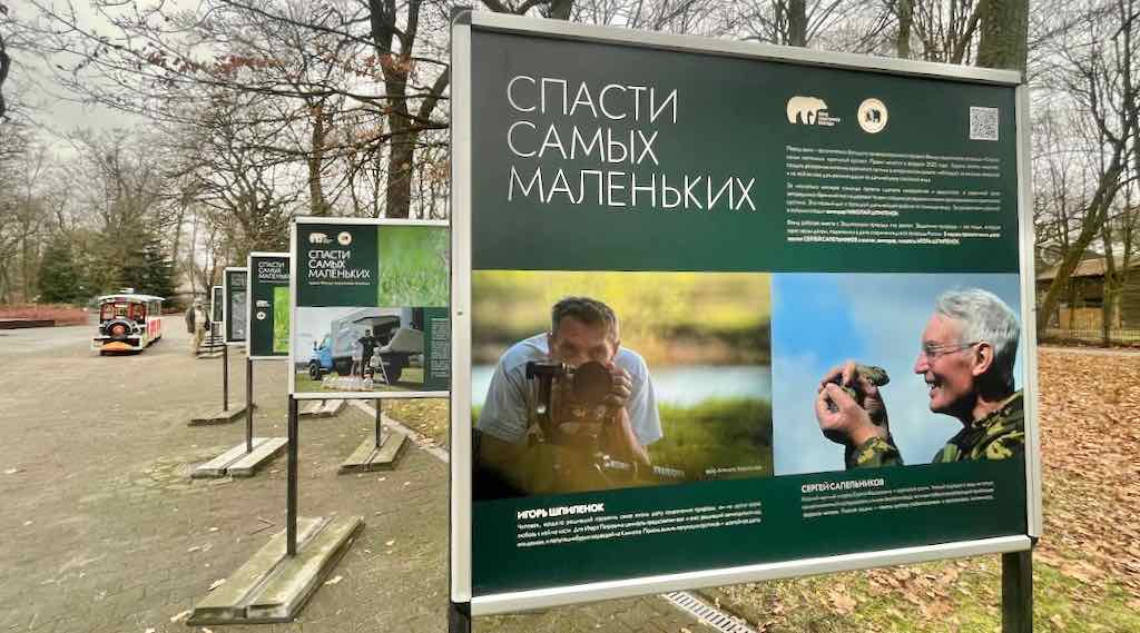Фотовыставка о брянских сусликах открылась в Калининградском зоопарке
