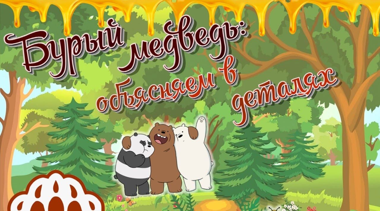 В краеведческом музее расскажут всё о буром медведе