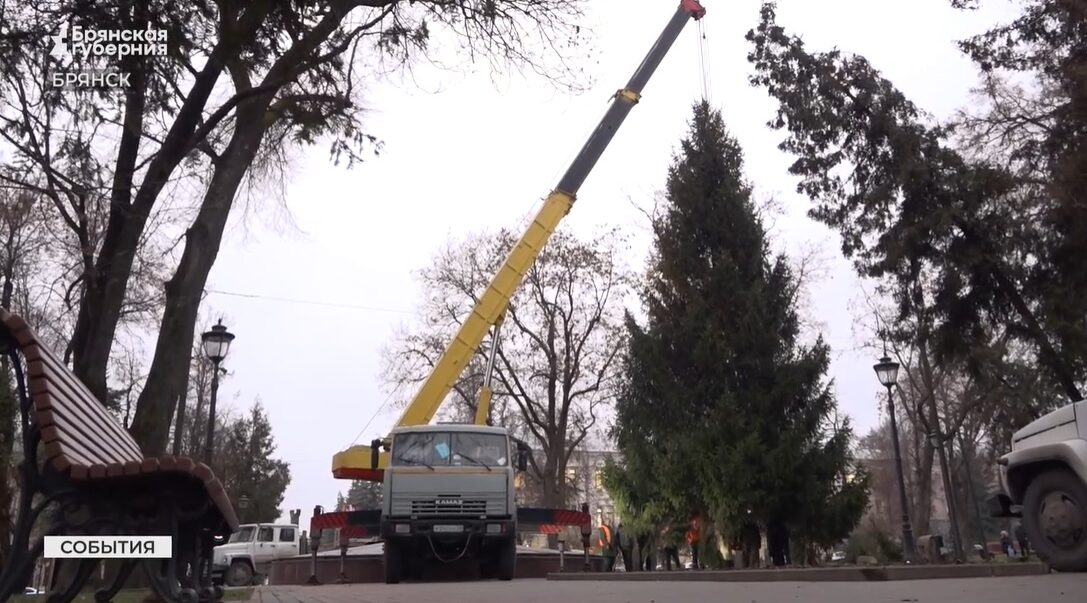 В Брянске будет открыта елка 12 метров высотой