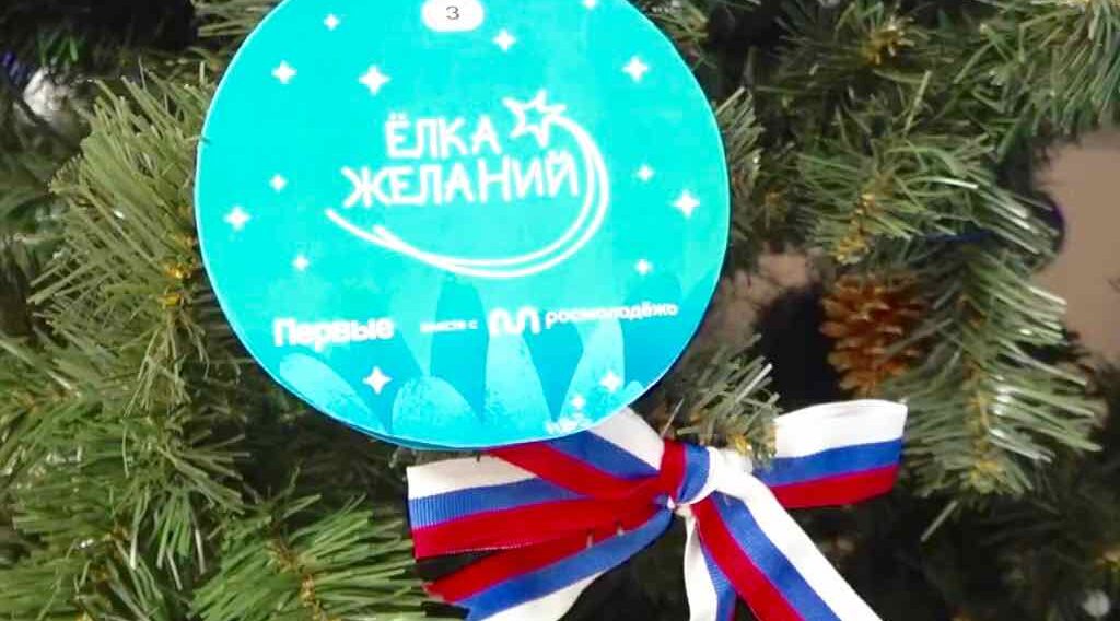 Сенатор Василий Попадайло исполнил новогодние желания брянских детей