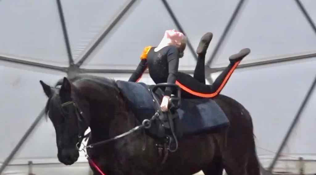 В Брянске прошли первые детские соревнования по вольтижировке