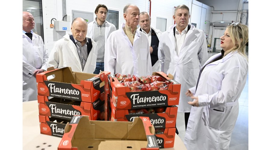 Николаю Патрушеву показали работу тепличного комбината «Журиничи» на Брянщине