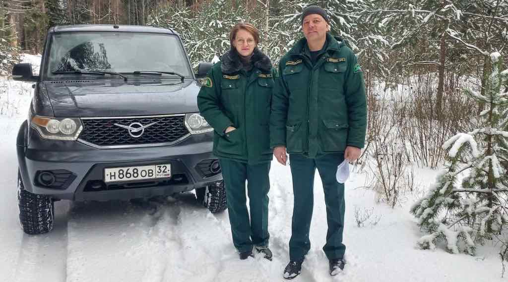 В Брянской области не выявили незаконных рубок новогодних деревьев