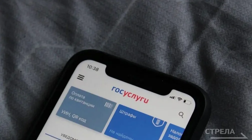 Доверенное лицо поможет брянцам защитить аккаунт на Госуслугах