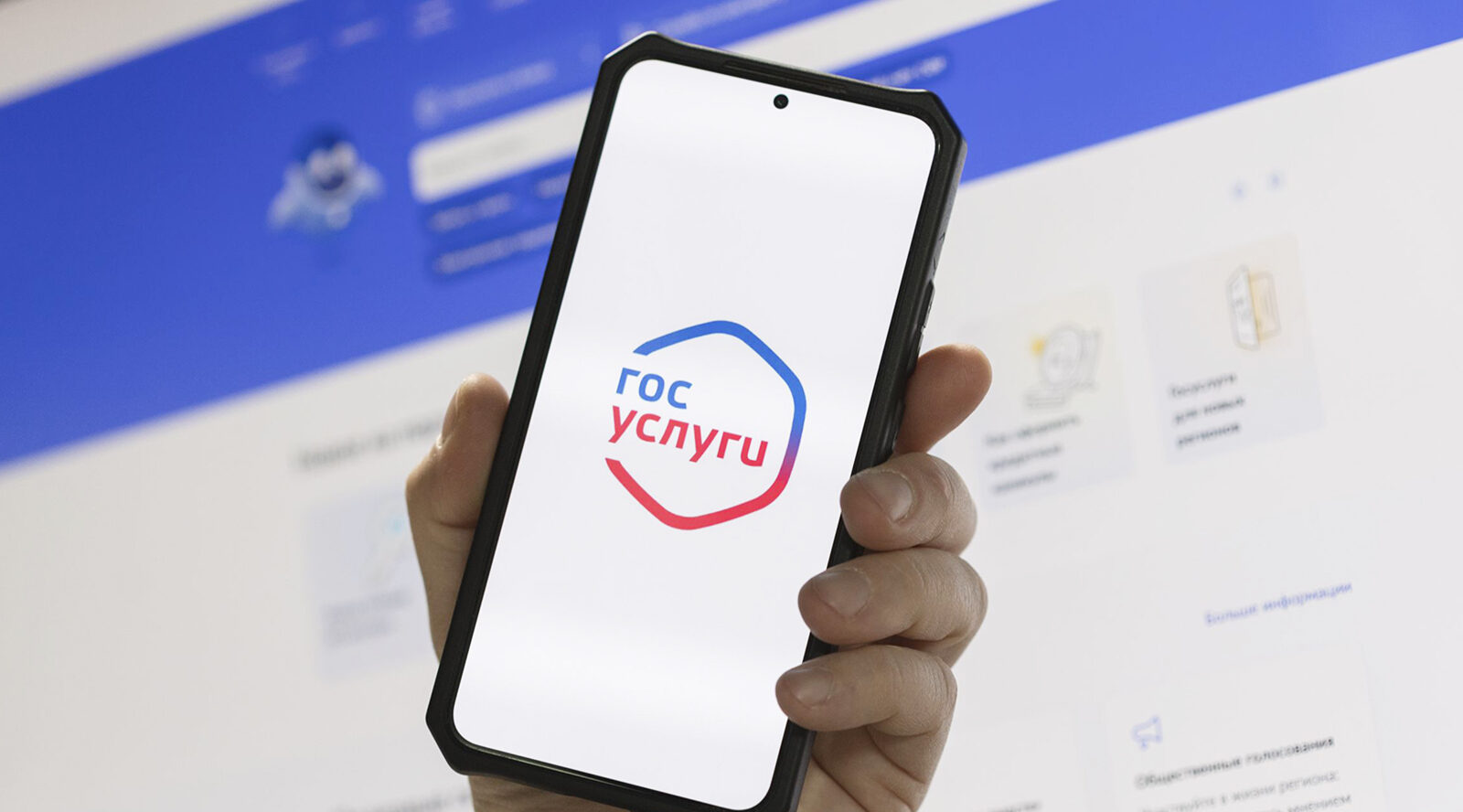 Оценить финансовую добросовестность земляков брянцы могут на Госуслугах