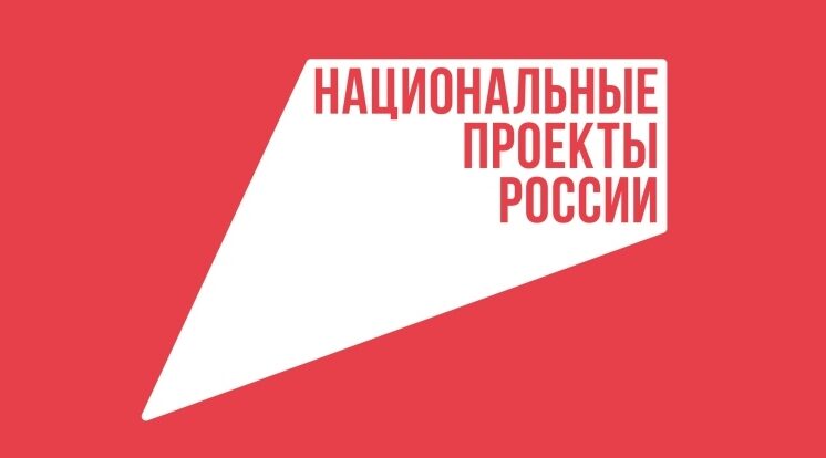 В рамках регионального проекта в Брянской области действует ряд мер поддержки для многодетных семей