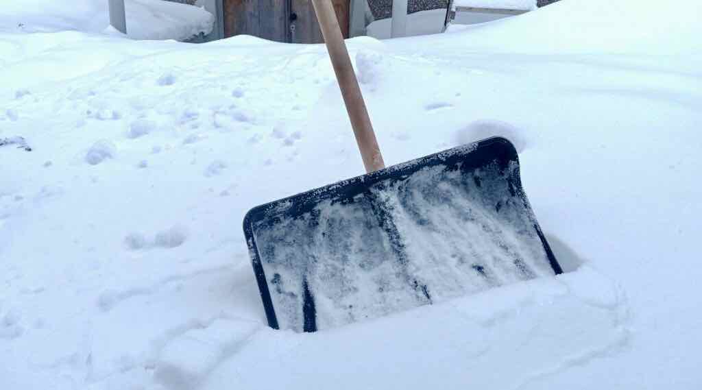 Жителей Брянска призвали помочь в уборке снега после сильного снегопада