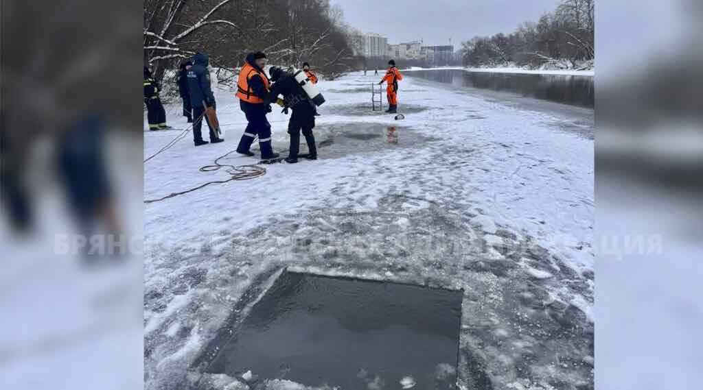 В Брянске спасатели ищут детей на реке Десне