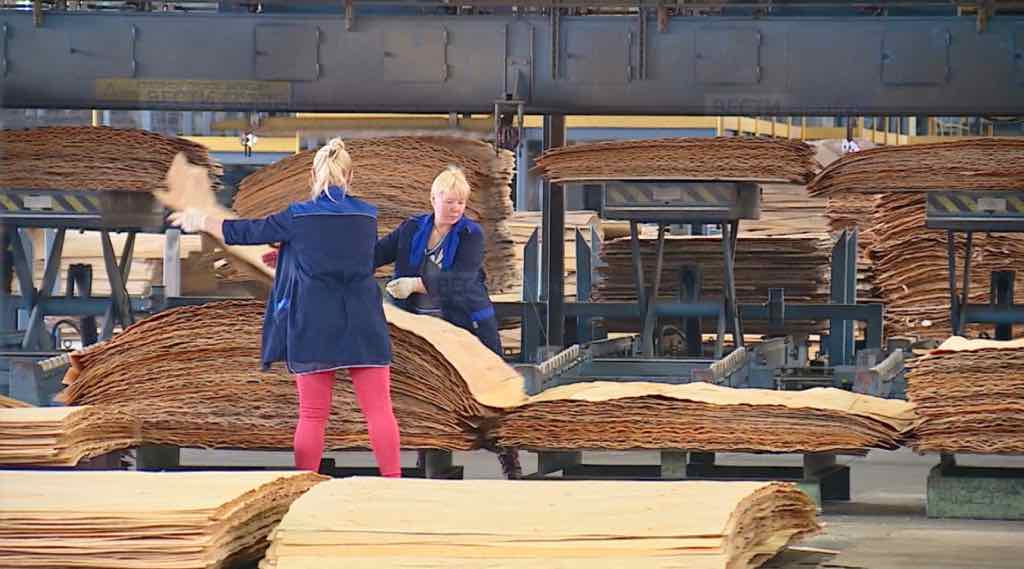 Три предприятия Брянщины первыми войдут в свободную экономическую зону