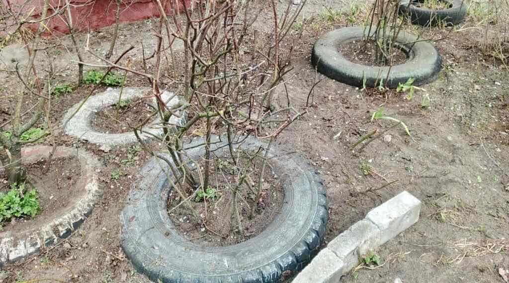 Более четырех тысяч брянцев вышли на субботник и пятничник на минувшей неделе