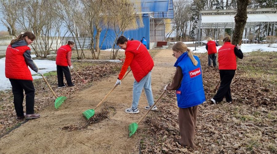В Трубчевске на Брянщине активисты очистили от мусора парк