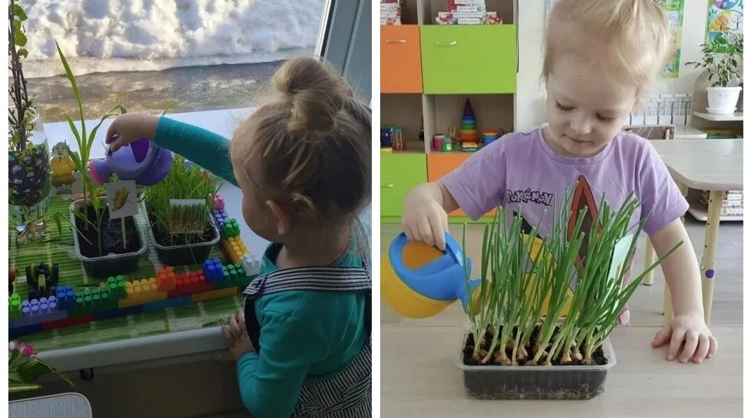 Дошкольники Брянского района посадили «огород» на подоконнике