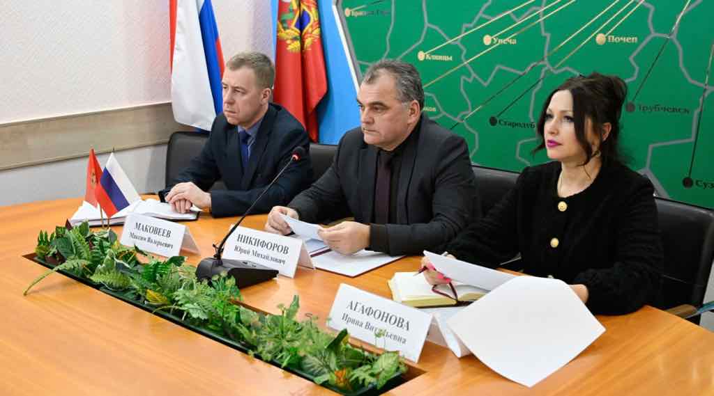 Федеральные эксперты оценили профилактику безнадзорности в Брянской области