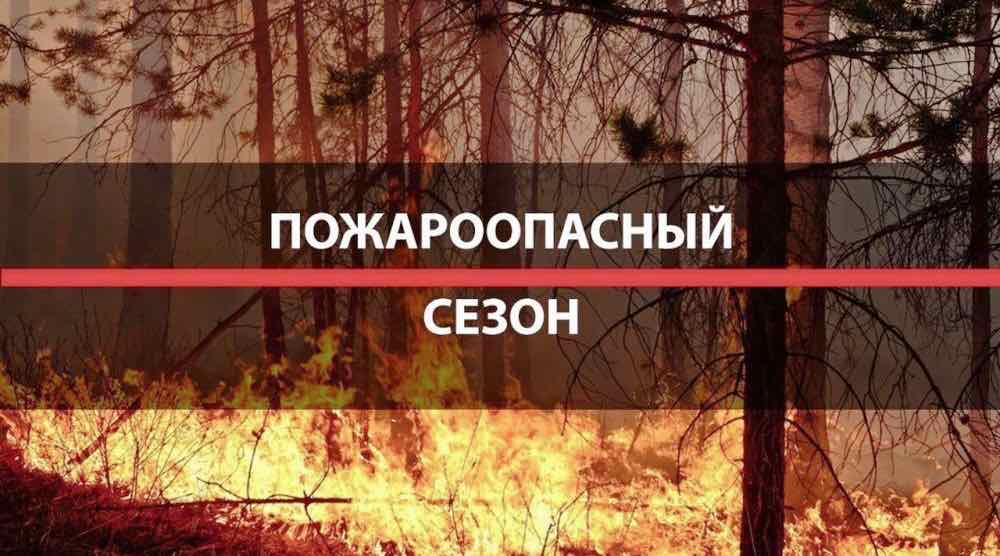 В Брянской области усилили мониторинг лесных пожаров