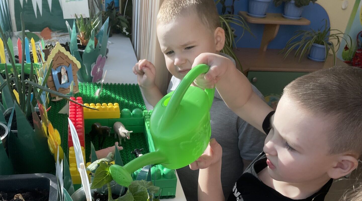 В детском саду «Мегаполис» Брянского района растёт огород на… окне