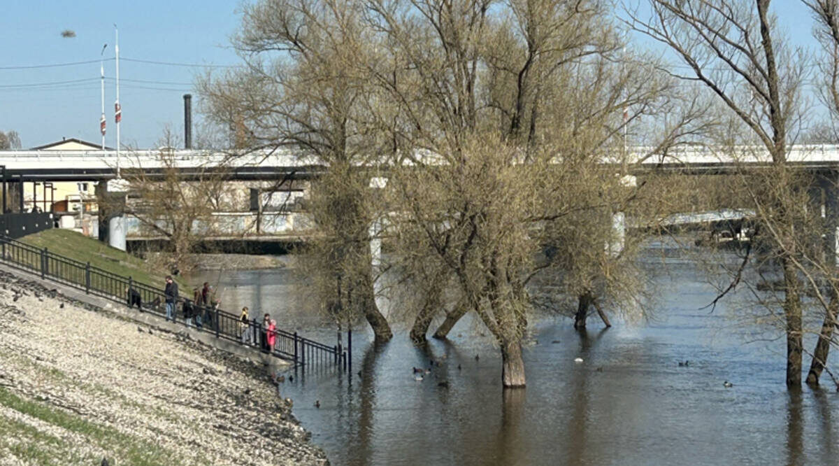 Жителей Брянска и области призывают к бдительности в связи с половодьем