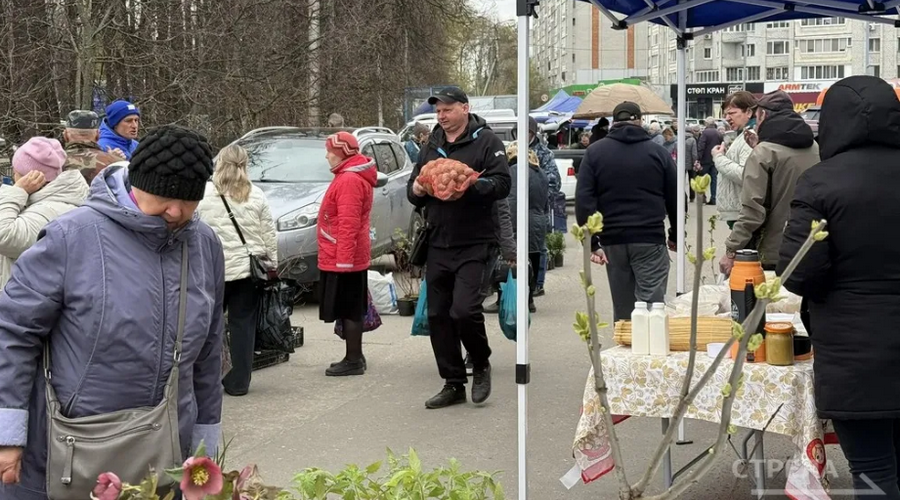 Брянская ярмарка выходного дня собрала фермеров со всей области