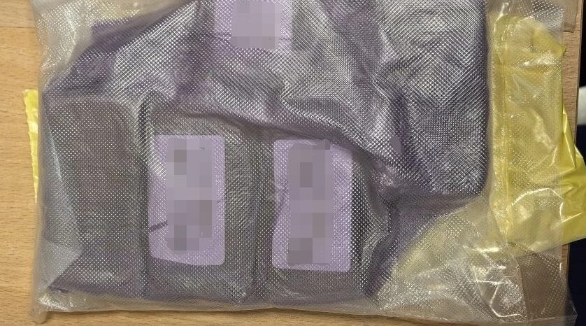 На вокзале в Брянске у женщины изъяли более 440 граммов гашиша