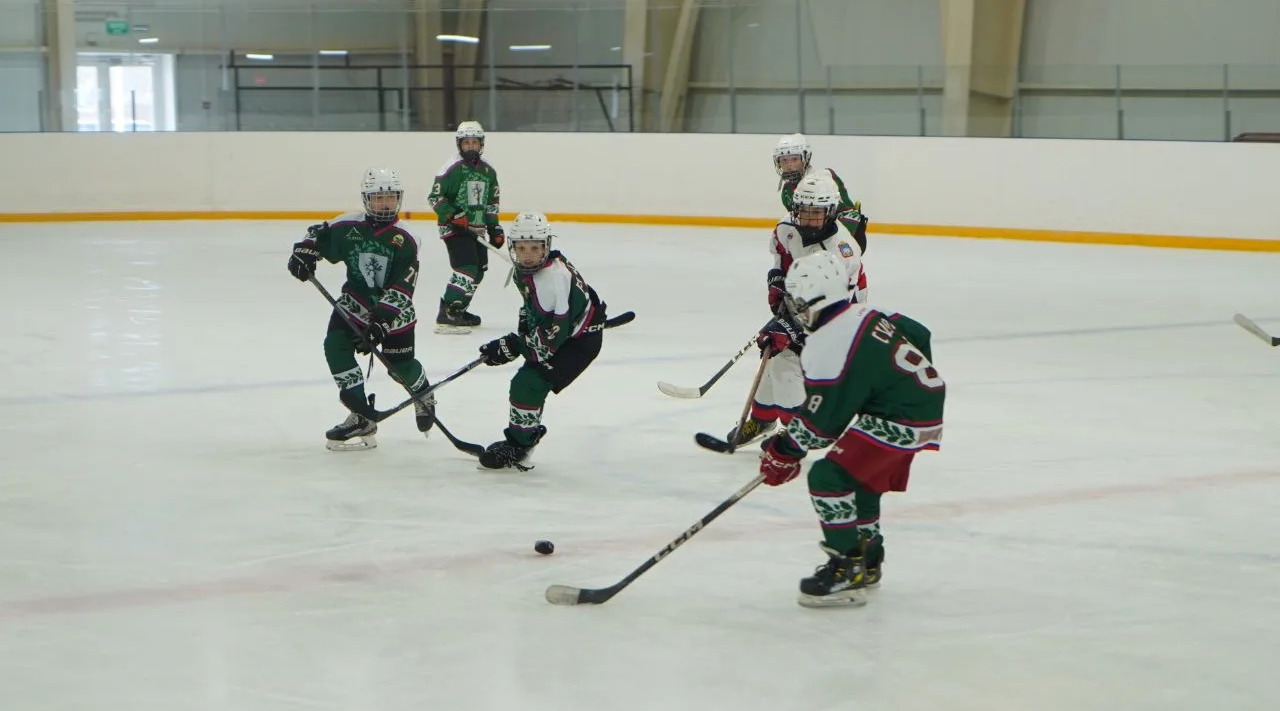 Юные хоккеисты Брянщины показали себя на Кубке губернатора