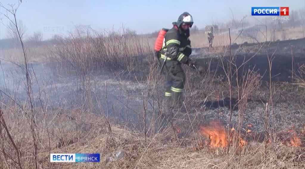 В Брянской области с 6 апреля официально начался пожароопасный сезон
