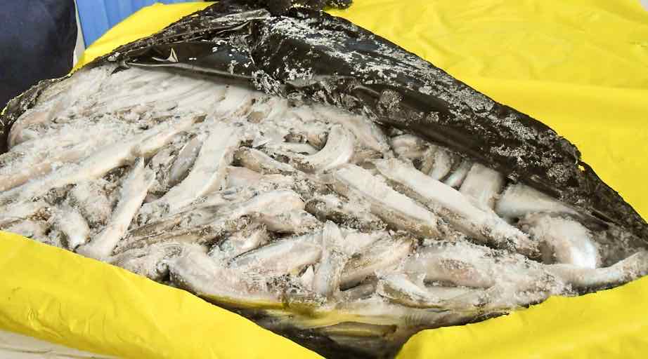 Брянские таможенники задержали 11 тонн санкционной рыбы, которую везли под видом овсяных хлопьев