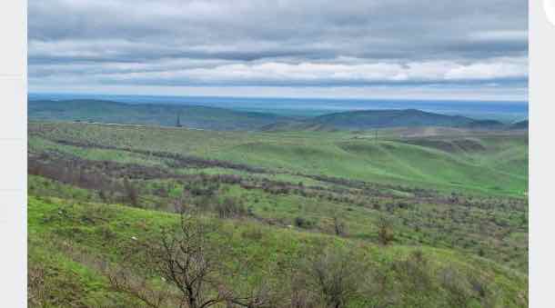 Брянская станция переливания крови поставила плазму в военный госпиталь