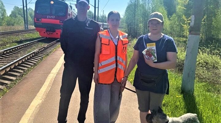 Профилактическую акцию «Безопасность в приДАЧУ» провели в Брянской области