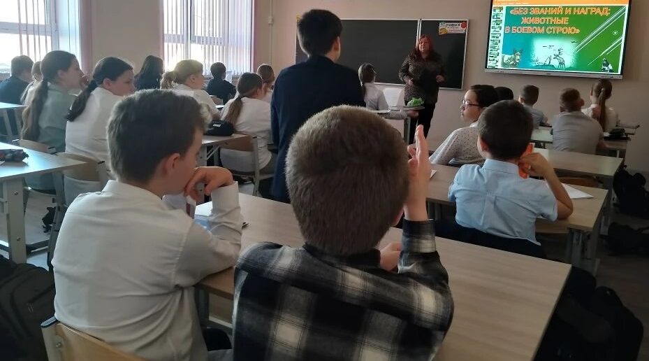 Школьникам Брянска рассказали о фронтовых собаках