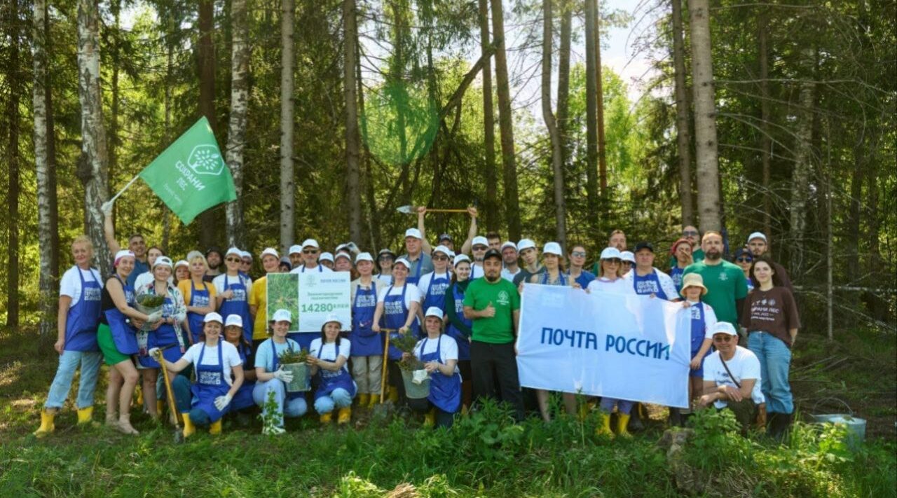 «Почтовый лес» появился ещё в шести регионах