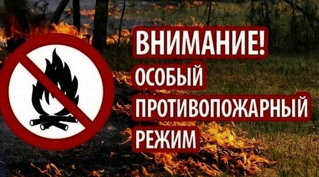 В лесах Брянской области введен особый противопожарный режим
