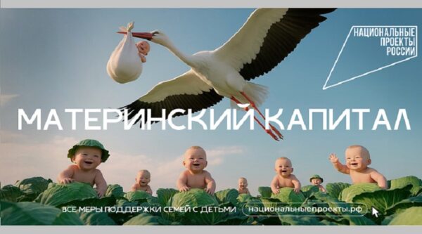 Национальный проект «Семья» продолжает расширять меры поддержки для родителей и детей Брянщины