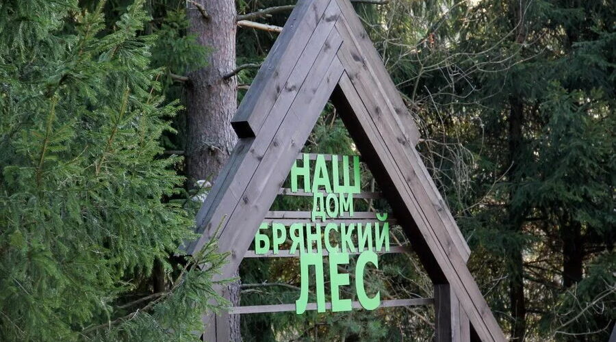 Заповедник «Брянский лес»